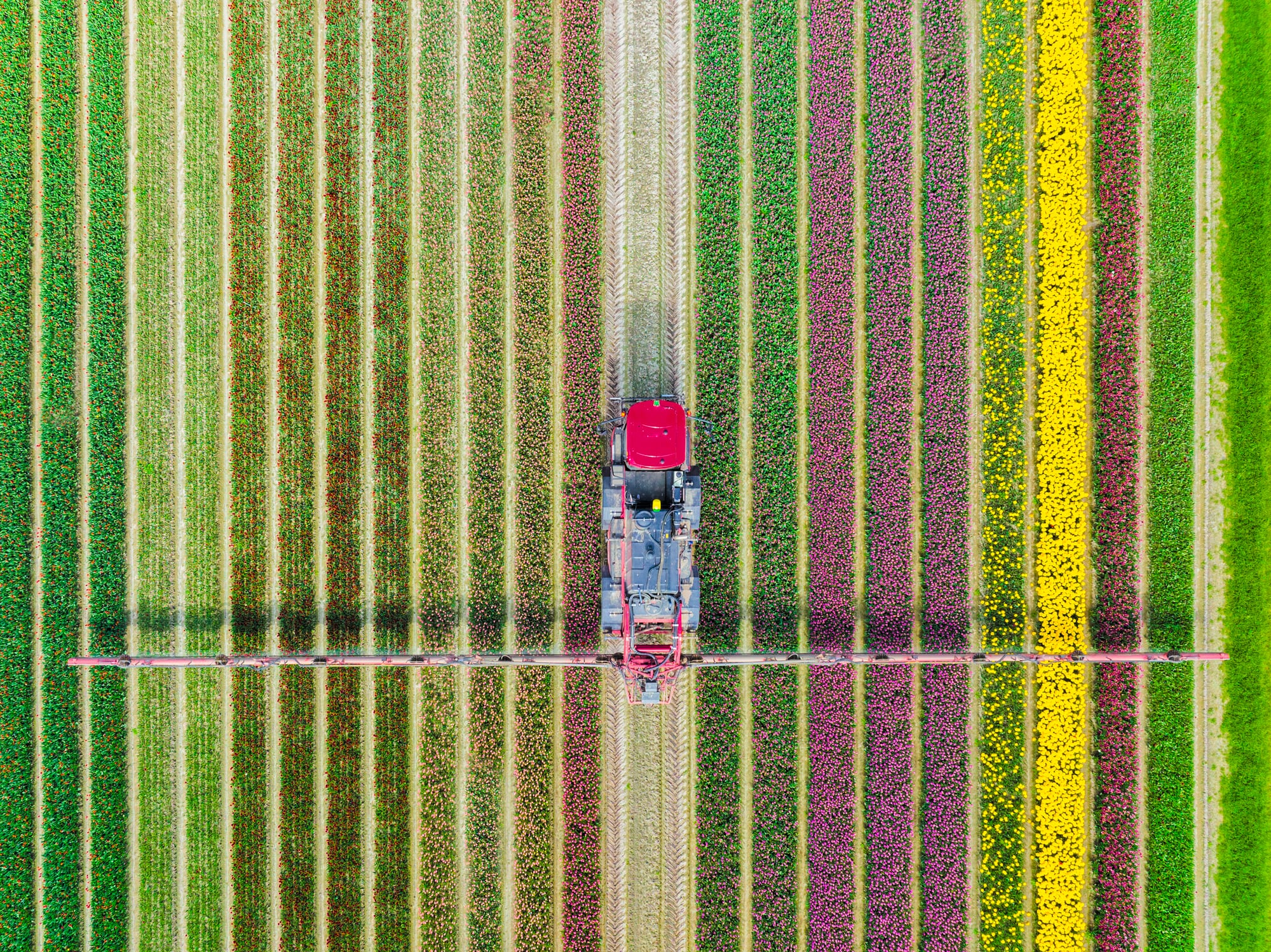Can Arevo reinvent fertiliser for a volatile world?