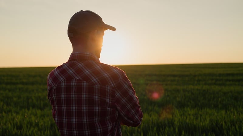 Farmers can’t afford fertilizers, contemplate skipping springtime application