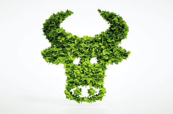Swedish startup secures additional funding, looks to optimize production of seaweed additive to tackle methane emissions in cattle 