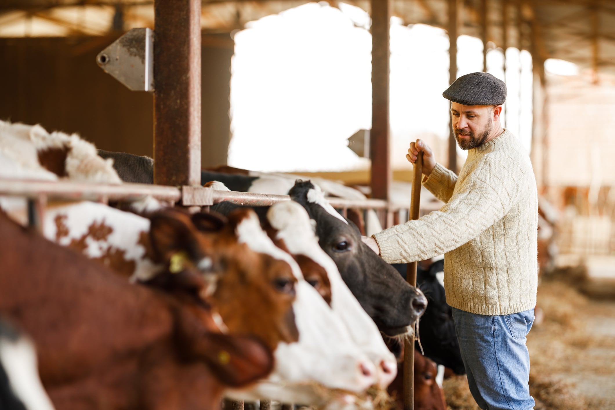 DSM‑Firmenich’s €2.2bn ANH exit underscores ‘barbell’ reality in animal health investment