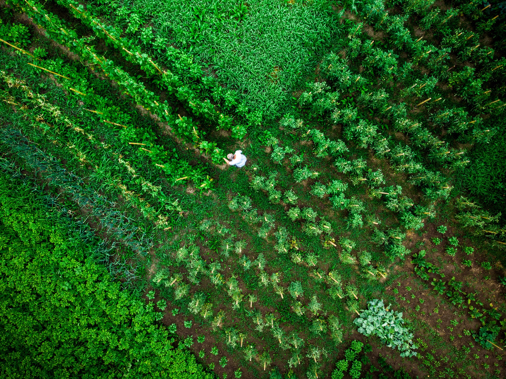 UK biosolutions eye growth as resource insecurity sharpens