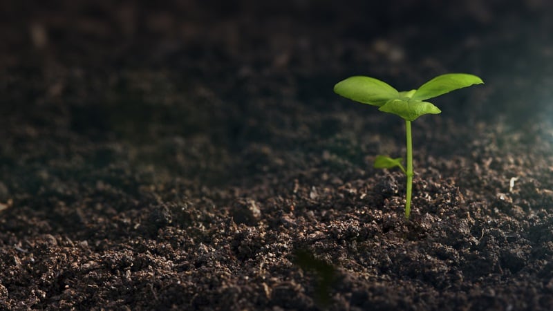 ‘Farmers don’t like to hear a tech story,’ Windfall Bio demonstrates organic fertiliser potential