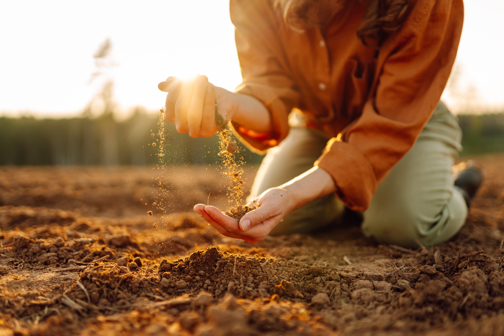 ‘From the ground up’: Land x Launch NZ ropes in five start-ups to tackle gaps in soil health
