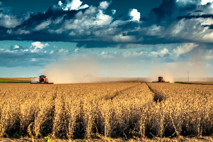 Study-Deforestation-linked-heat-dryness-causing-billions-of-losses-in-soy-revenue-in-Brazil.jpg