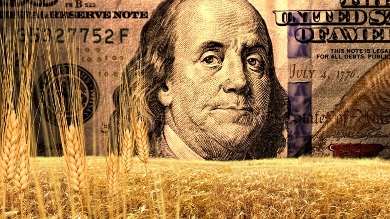 A field of wheat against a money backdrop