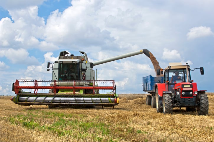 US: Rye could be ‘partial replacement’ for corn cattle feed