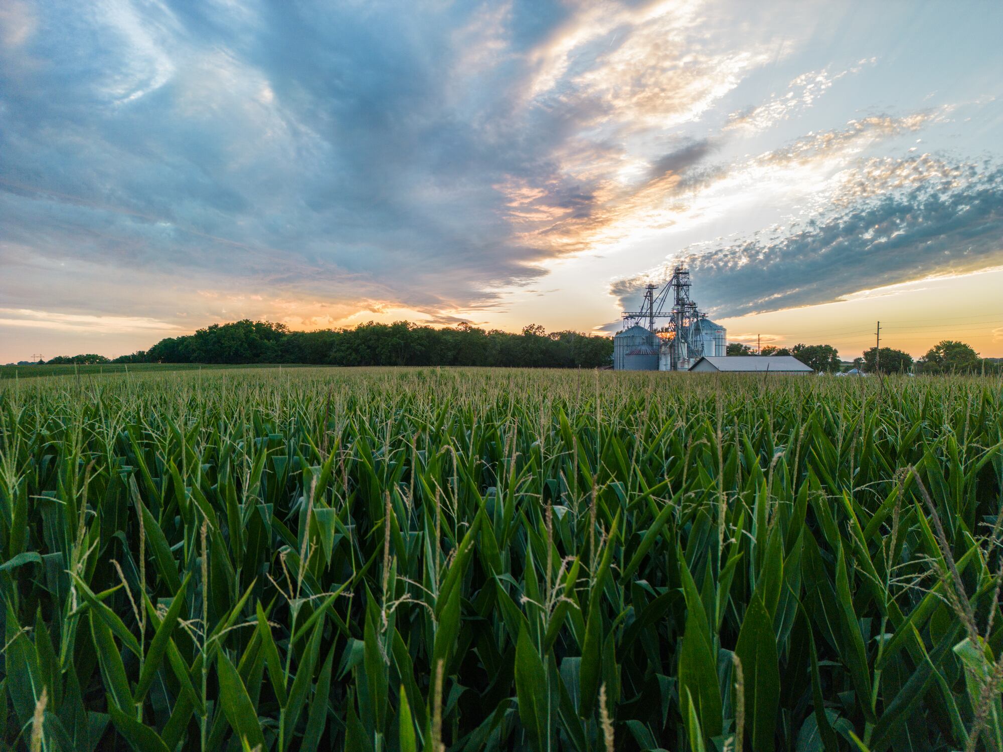 Regions that turn farm-sector strength into start-up growth and commercial success are those that deliberately connect researchers, entrepreneurs, investors and industry within a functioning innovation ecosystem, a research paper argues.