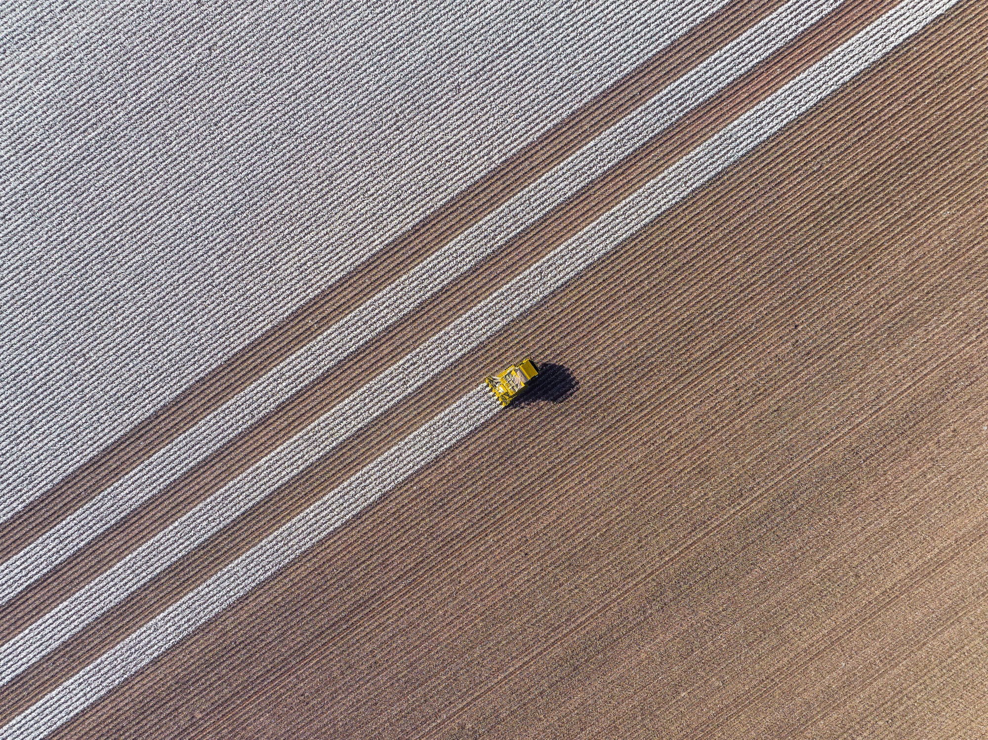 ‘Multi-speed’ slowdown: Hot, dry conditions drag down Australia’s biggest ag operations