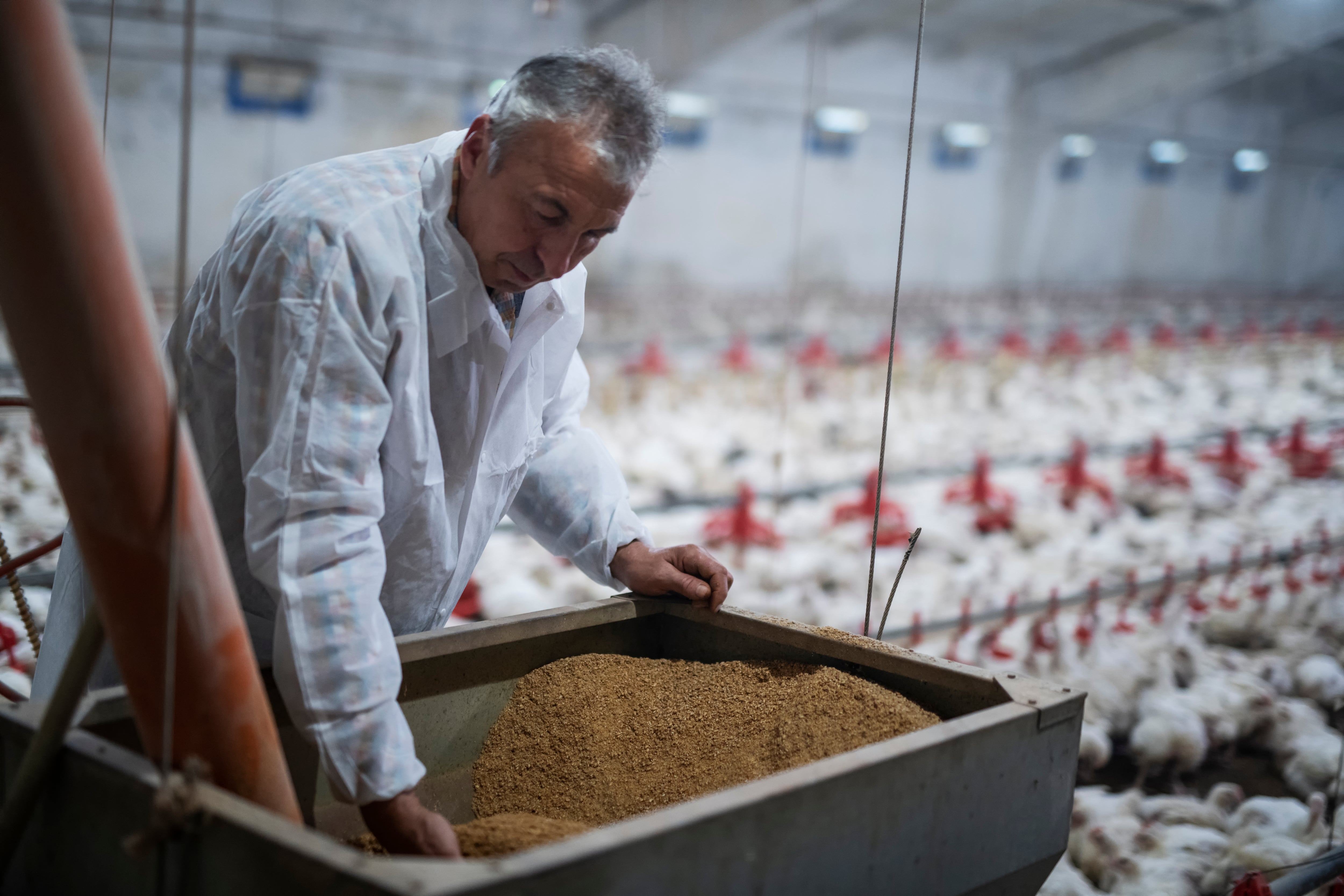 ADM, Alltech unite feed assets across US and Canada