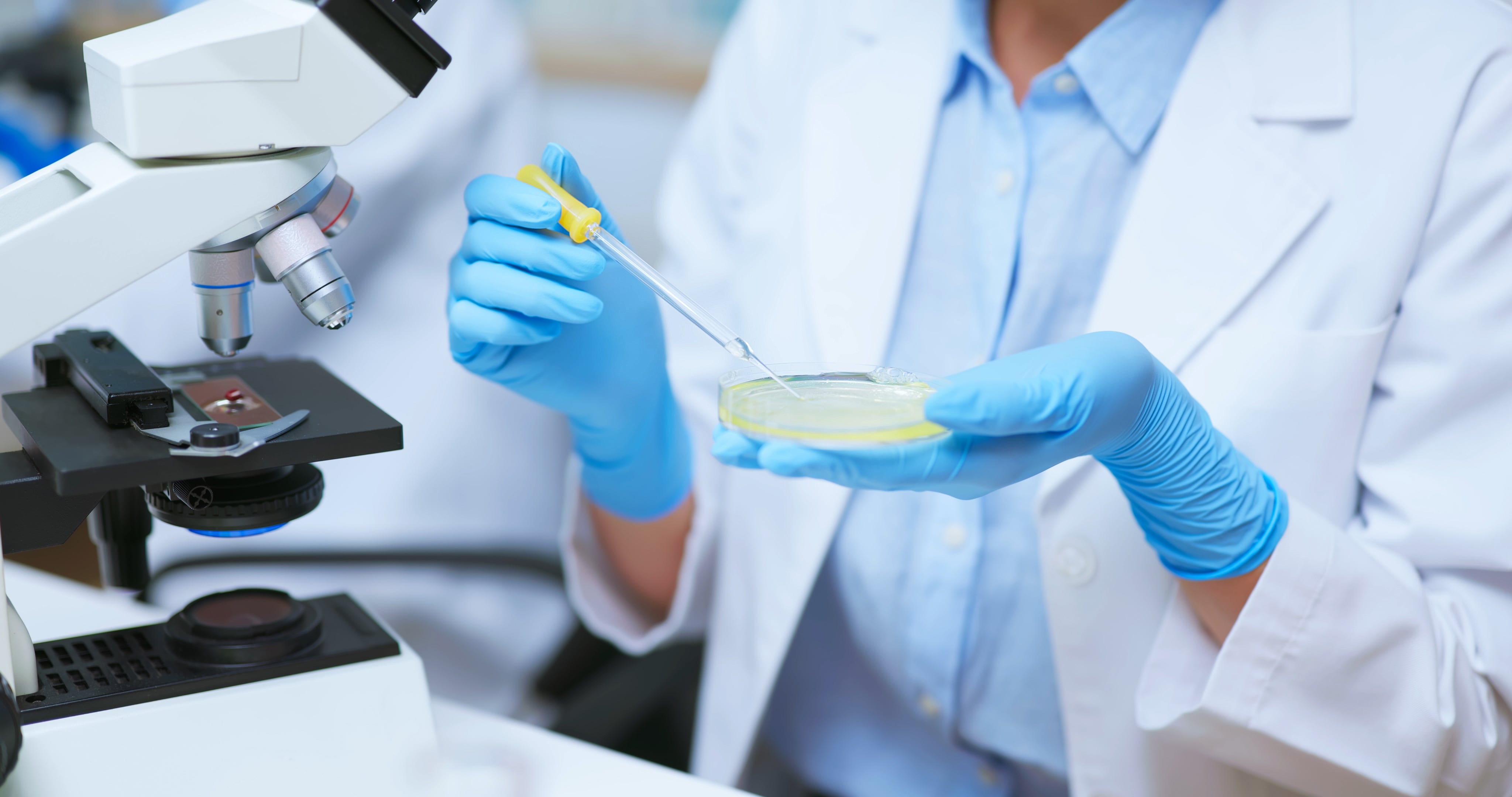 food safety concept - close up of asian quality control expert scientist is watching egg specimen on petri dish with dropper in the laboratory