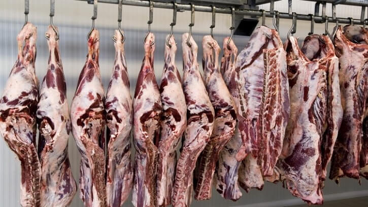 Animal ag transition: Five step plan unveiled for governments to move away from industrial meat production