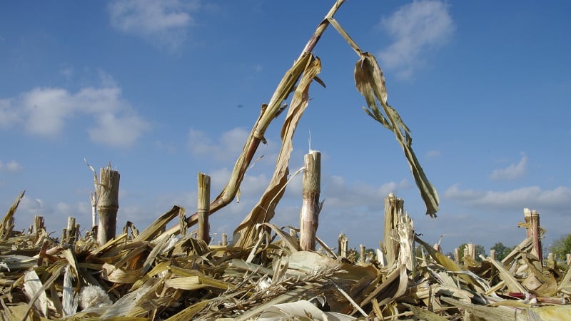 Improving nutrient efficiency: Loveland Products releases Extract XC for crop residue