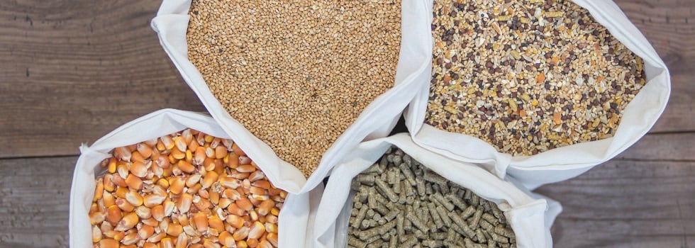 Increased-sensitivity-central-to-successful-soybean-processing.jpg
