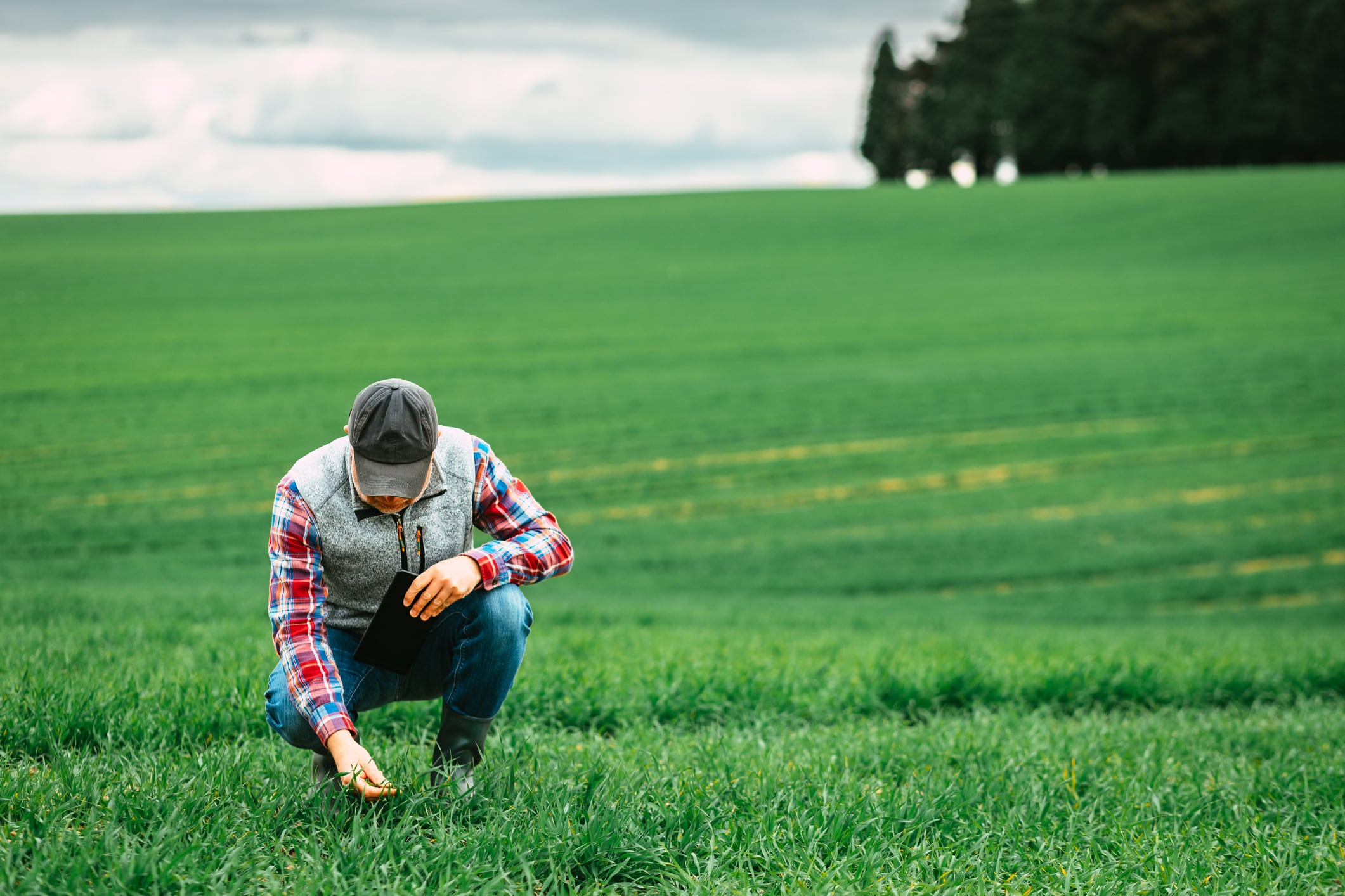 Regeno’s AI-powered platform aims to simplify farm assurance and compliance