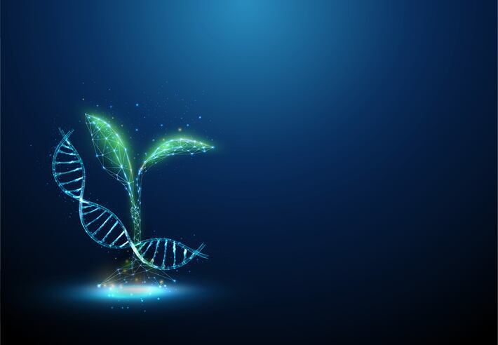 UK-team-bags-2.2m-to-advance-gene-edited-crop-research.jpg