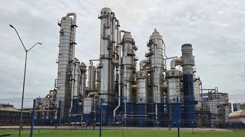 Food, feed, fuel: Bioethanol giant Inpasa boosts DDGS, energy production