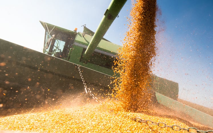 TeleSense develops grain monitoring system for transport, ground storage