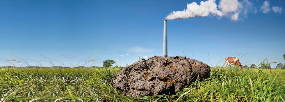 Dairy-and-beef-producers-can-improve-herd-digestion-decrease-emissions-and-increase-productivity-by-helping-the-rumen-to-work-smarter.jpg