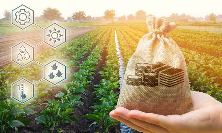 Fundamentals-support-good-profitability-for-agribusiness.jpg