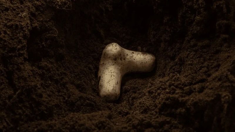 From compaction to resilience: The capsule that hopes to transform soil health