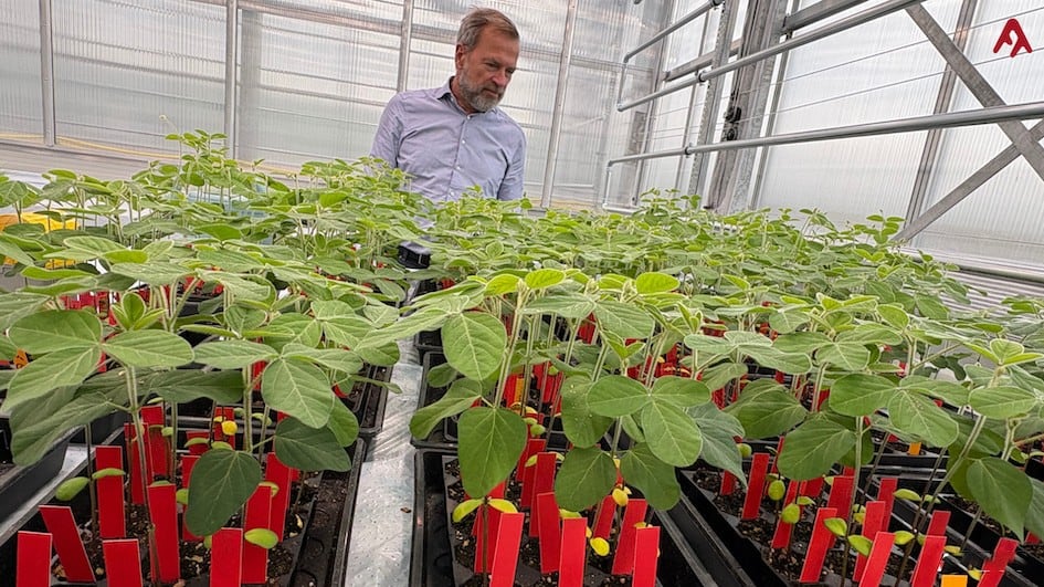 Niklas Åström, chief executive officer of Arevo, described the agreement as a significant milestone for the company.