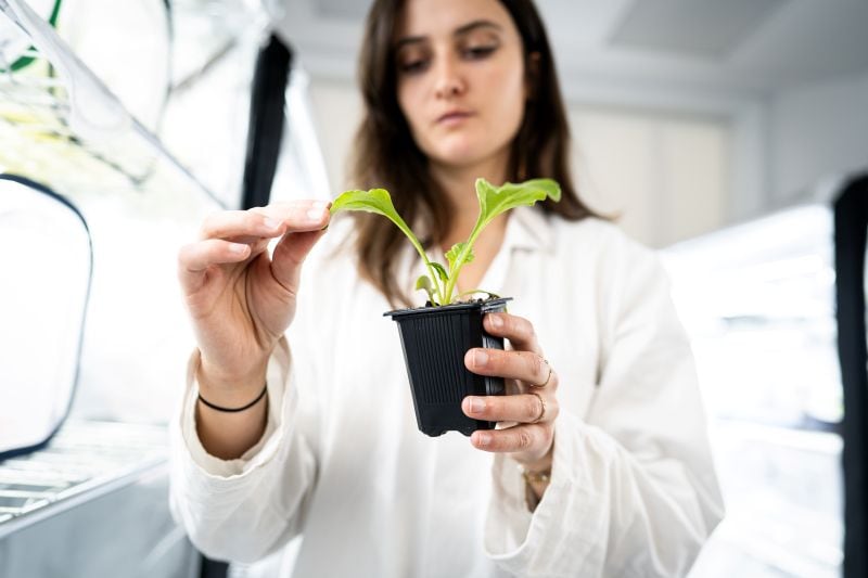 France’s newest export isn’t perfume – it’s scent‑based crop protection