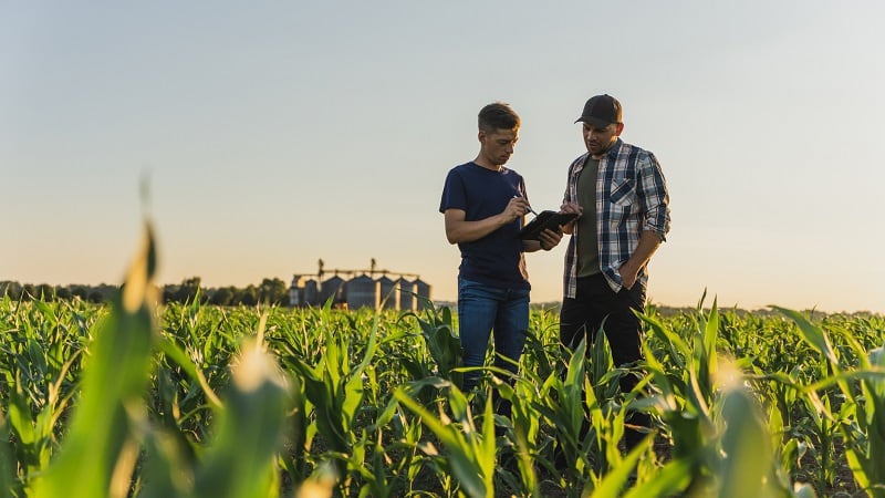 Will AI replace crop consultants? People are the ‘differentiator,’ Nutrien Ag says