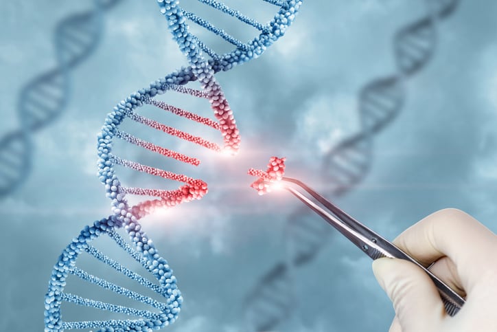 Pairwise gets new investment to accelerate crop breeding with gene editing