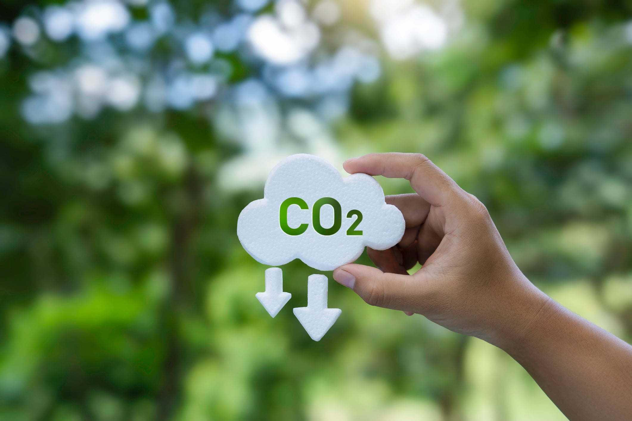 Carbon sequestration projects will bring big gains with minimal impact to Australian agriculture – ABARES