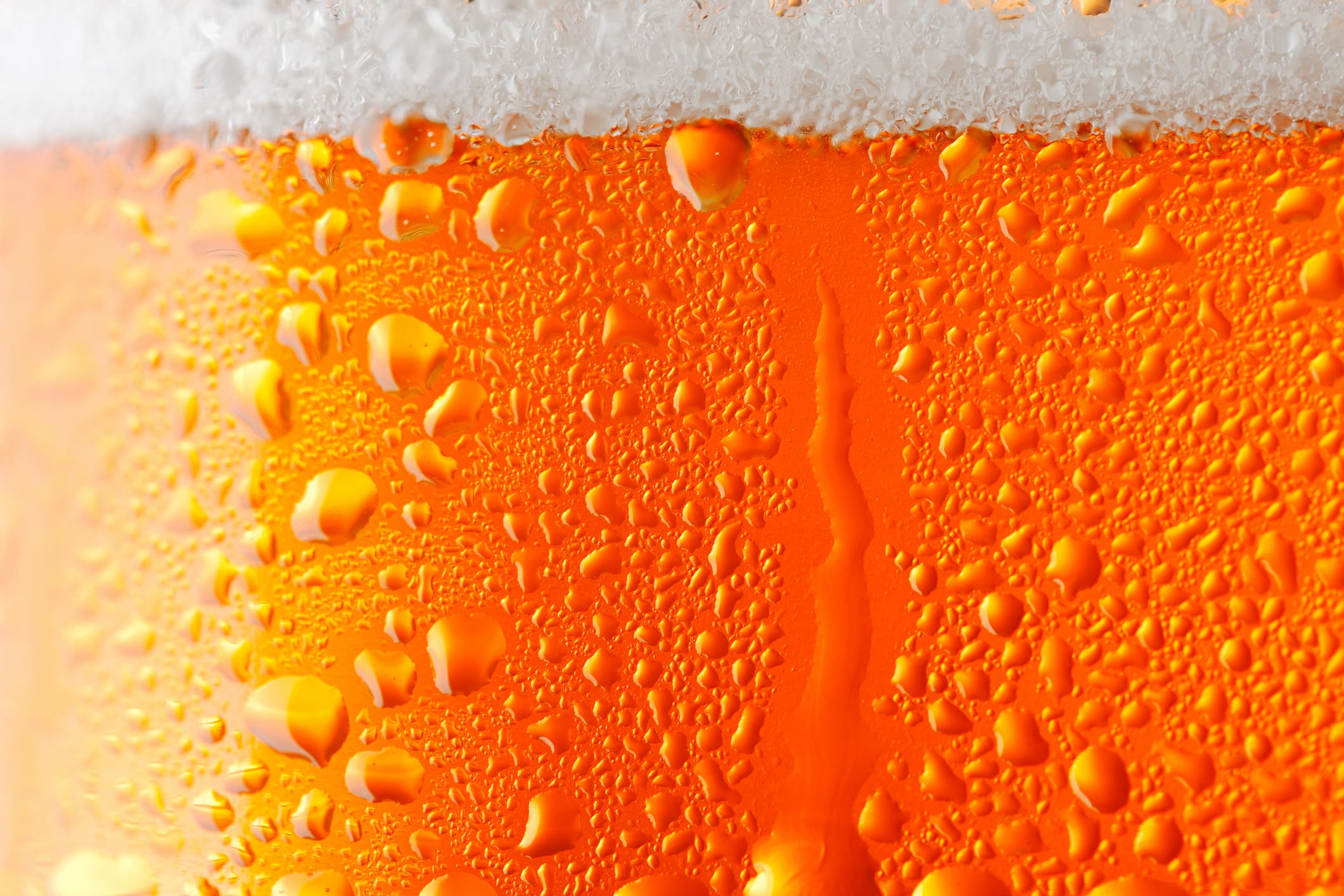 Beer waste reimagined: Aussie project to unlock new uses, improve sustainability