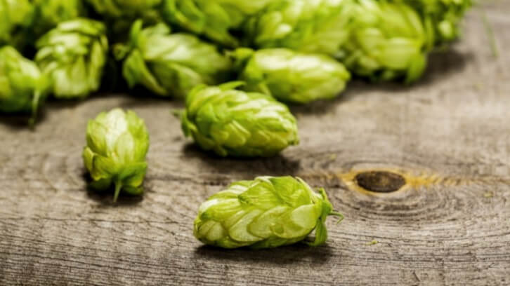 Hop drop in the crop: Why climate change could have a bitter impact on Europe’s brewing sector