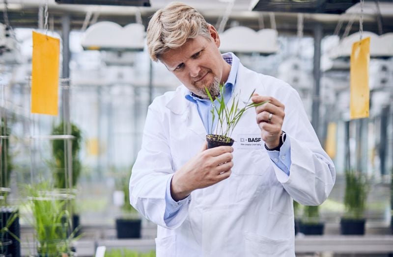BASF shareholders back agriculture carve‑out as geopolitics bite into crop protection earnings