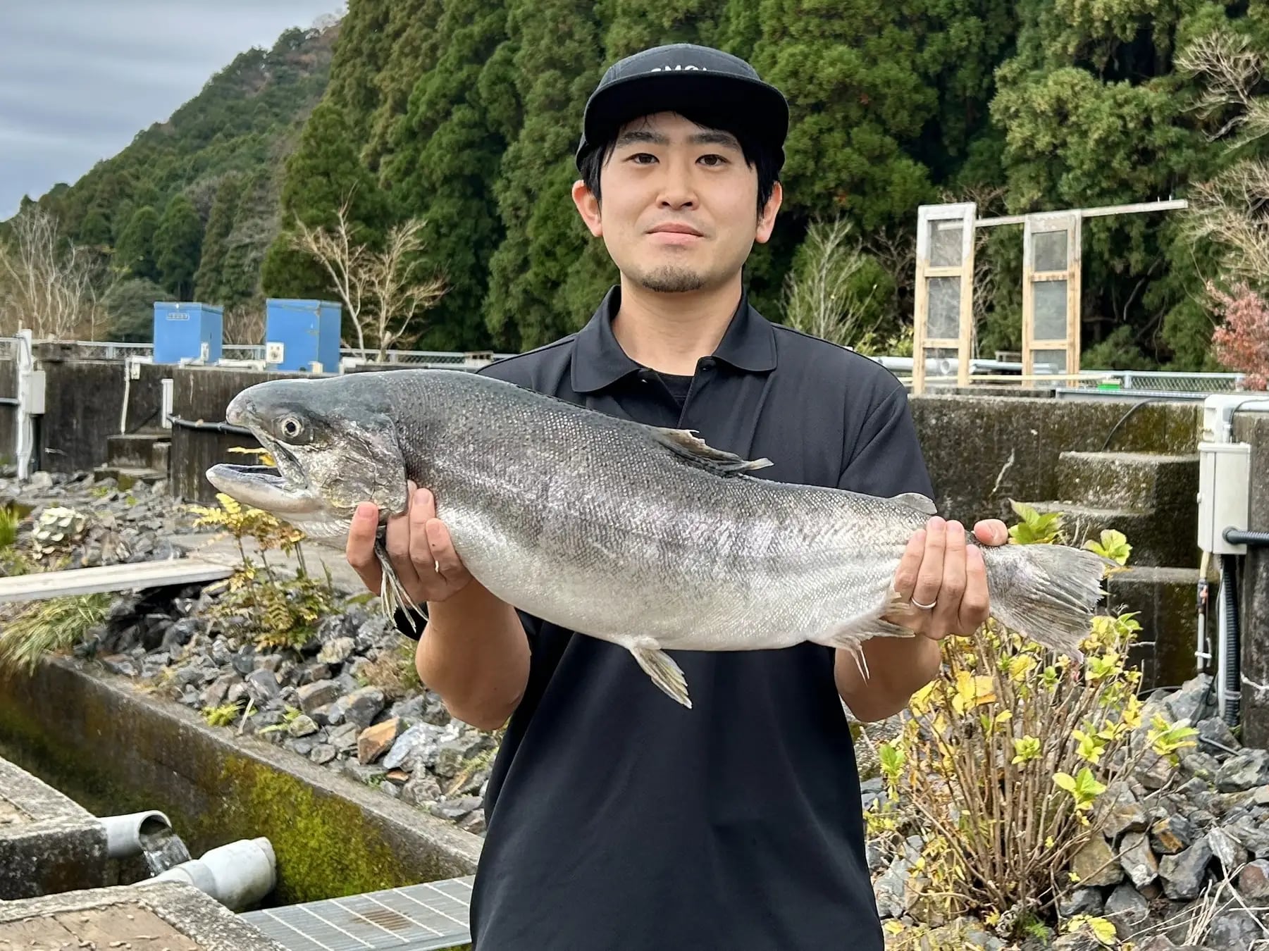 Climate-resistant aquaculture: Smolt produces record-size heat-tolerant cherry salmon