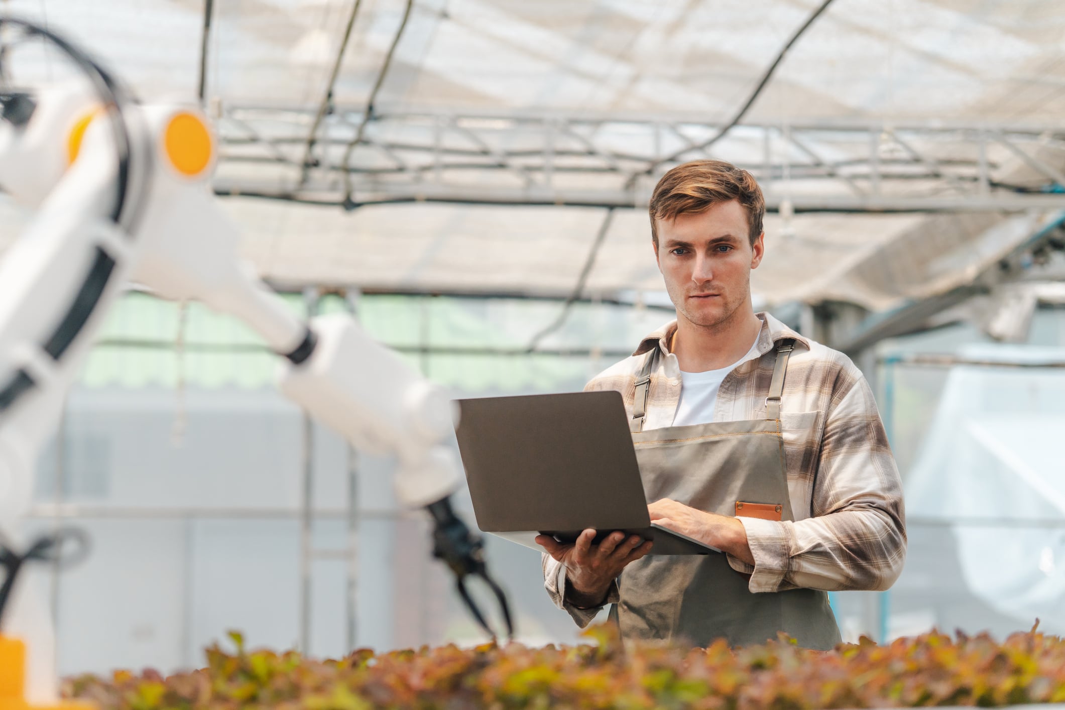 The competition aims to support technologies capable of planting, tending and harvesting crops while helping farmers address persistent labour shortages.