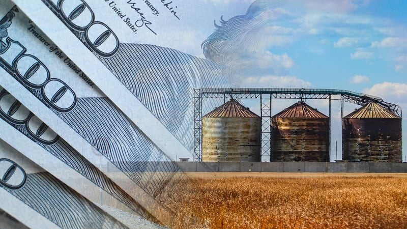 ‘Things are not good,’ Rabobank analyst gives the U.S. ag economy a pulse check