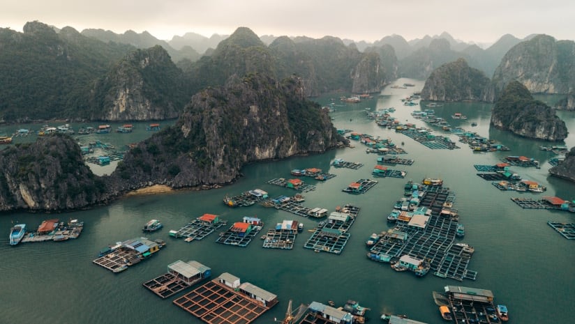 Aquaculture advances: Innovation opportunities
