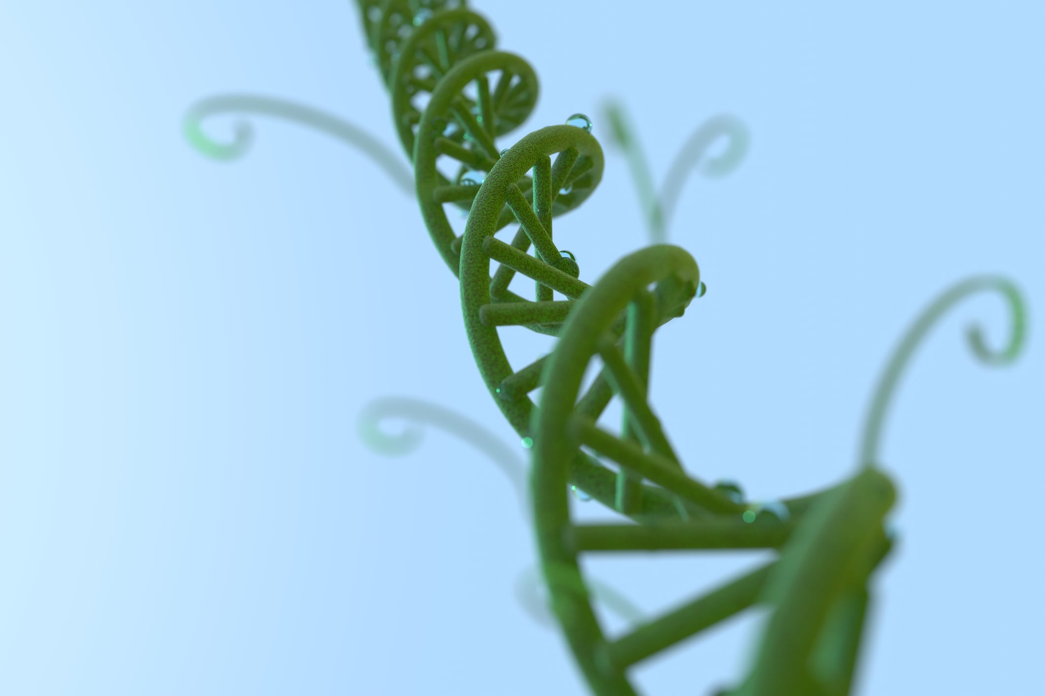 Living Models emerges from stealth with $7m to build AI ‘foundation models’ for plant genomics