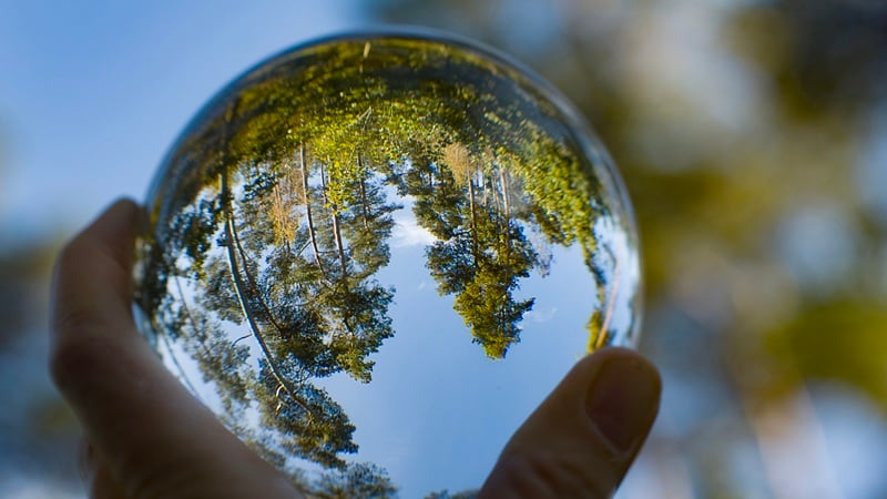 VC for fighting biodiversity loss: Superorganism closes $25.9m debut fund