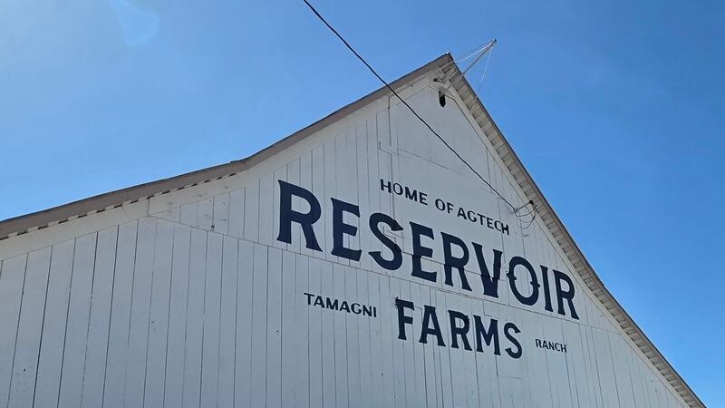 A shot of Reservoir Farms' Salinas space