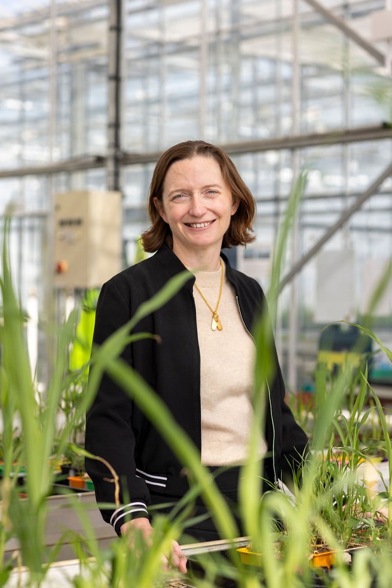 Moa CEO Virginia Corless: “There has not been a new mode of action herbicide brought to market in 35 years."