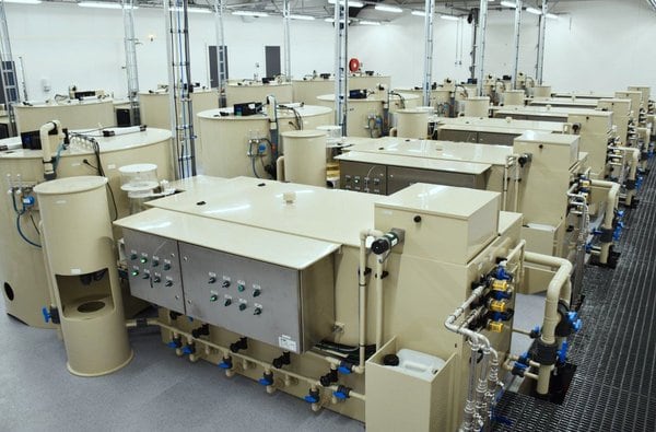 Skretting has upgraded its integrated feed concept for RAS