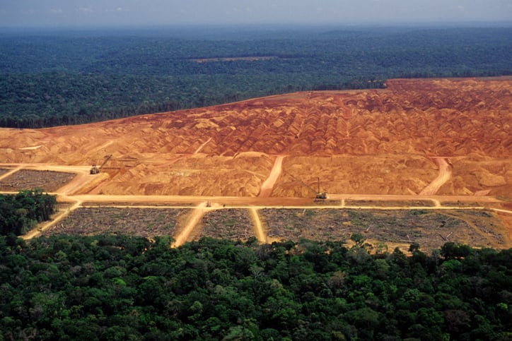 Supermarkets warn UK risks becoming a leakage market for deforestation