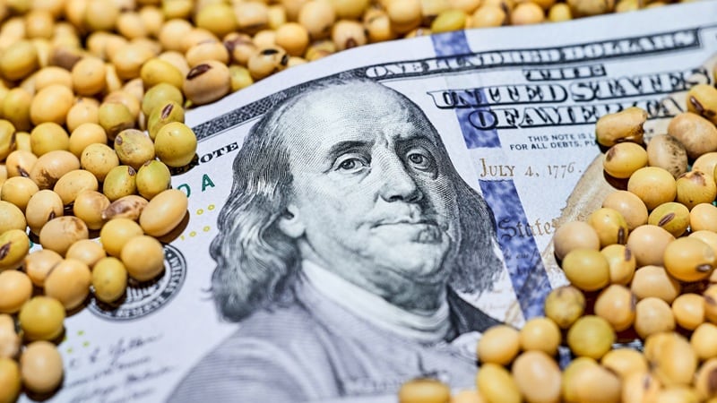 ADM expects China to ‘resume normalized buying pattern for North American soybeans’