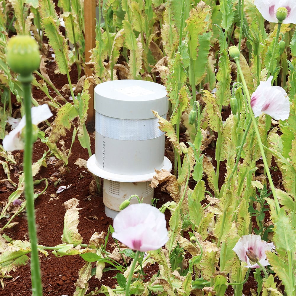 On the nose: Faster, cheaper soil biology assessment nears commercialisation