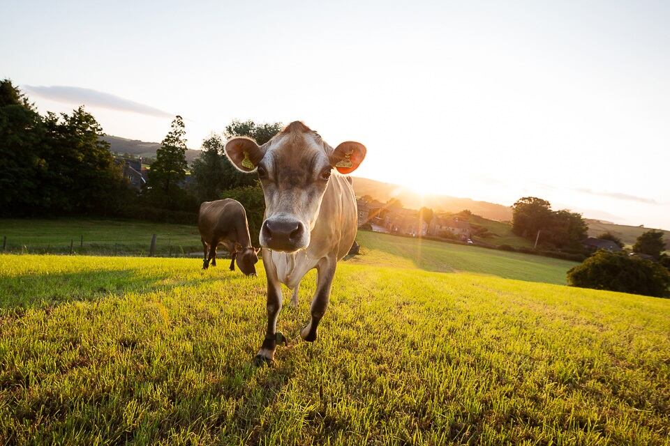 03_Brades-Farm-Image-Credit-Alex-Rumford.jpg