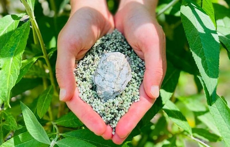 New tool to detect toxins in fertiliser unveiled