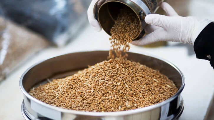 Animal feed additives market predicted to grow by 5.5% by 2029