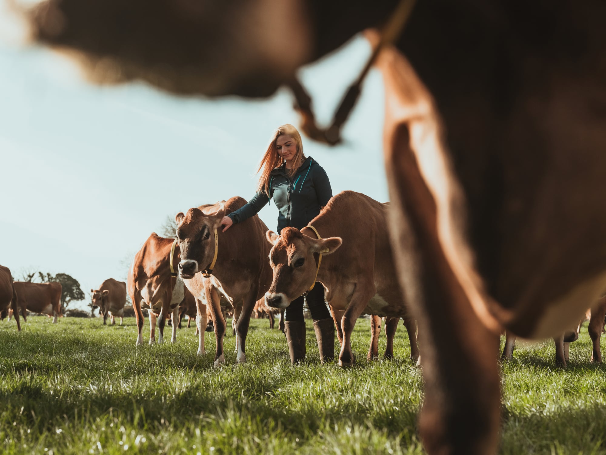 ‘Act now or face decline’: Industry warned over critical ag labour gaps