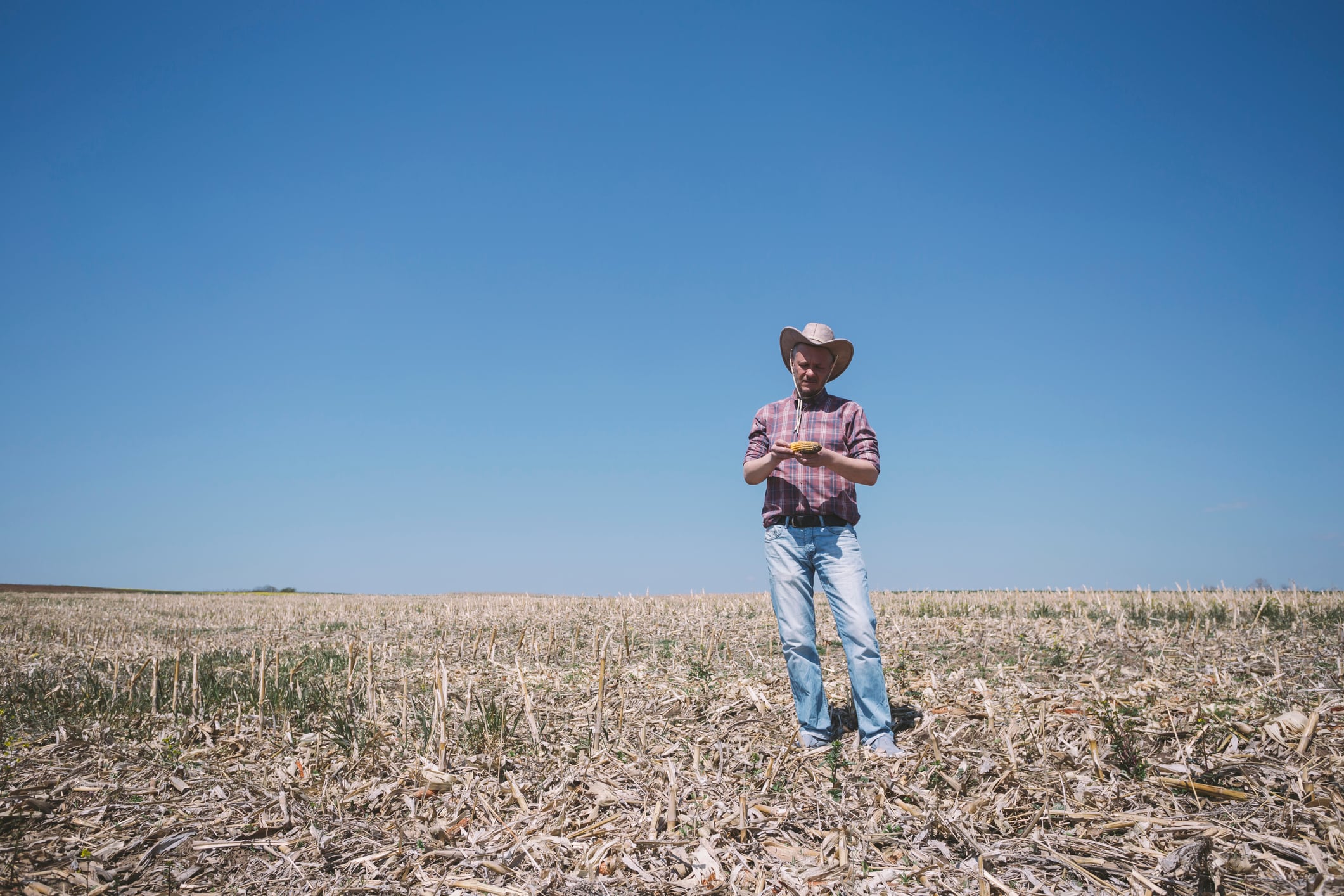 As drought becomes a permanent feature of farming rather than an occasional crisis, debate is shifting from compensating losses to investing in resilience.